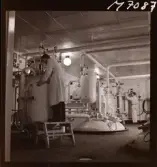 1731 Kärnbolagen Penicillin