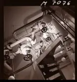 1731 Kärnbolagen Penicillin