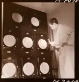 1731 Kärnbolagen Penicillin