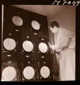 1731 Kärnbolagen Penicillin