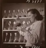 1731 Kärnbolagen Penicillin