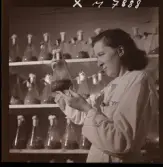 1731 Kärnbolagen Penicillin