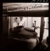 1731 Kärnbolagen Penicillin