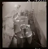 1731 Kärnbolagen Penicillin