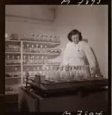 1731 Kärnbolagen Penicillin