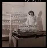 1731 Kärnbolagen Penicillin