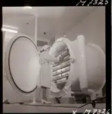 1731 Kärnbolagen Penicillin