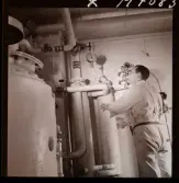 1731 Kärnbolagen Penicillin