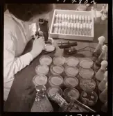 1731 Kärnbolagen Penicillin