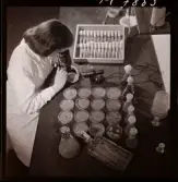 1731 Kärnbolagen Penicillin