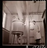 1731 Kärnbolagen Penicillin