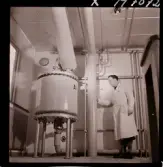 1731 Kärnbolagen Penicillin