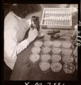 1731 Kärnbolagen Penicillin