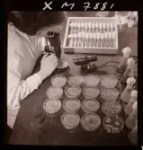 1731 Kärnbolagen Penicillin