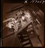 1731 Kärnbolagen Penicillin