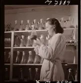 1731 Kärnbolagen Penicillin