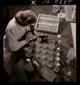 1731 Kärnbolagen Penicillin