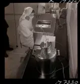 1731 Kärnbolagen Penicillin