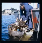 2358 Historieboken färg