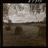 2358/2 Historiska boken Sigtuna ruiner, Gamla Uppsala, Runstenar etc.