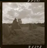 2358/2 Historiska boken Sigtuna ruiner, Gamla Uppsala, Runstenar etc.