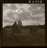 2358/2 Historiska boken Sigtuna ruiner, Gamla Uppsala, Runstenar etc.