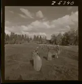 2358/2 Historiska boken Sigtuna ruiner, Gamla Uppsala, Runstenar etc.