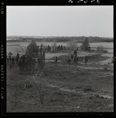 2358/4 Historiska boken Biblar, Psalmbok på Kungs Bibliotek; Okt-56 Djurgårdstaden; Okt-56; Bibel+Psalmbok på KB; Okt-56 Gamla hus; Historiska Museet, Portarna; Björkö i Mälaren