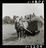 2358/5 Historiska boken Småland; Å, Skogspaviljong; Drottningholm jul-57; Kustbandet, tältläger aug-82