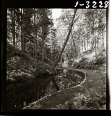 2358/5 Historiska boken Småland; Å, Skogspaviljong; Drottningholm jul-57; Kustbandet, tältläger aug-107