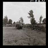 2358/5 Historiska boken Småland; Å, Skogspaviljong; Drottningholm jul-57; Kustbandet, tältläger aug-119