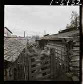 2358/6  Historiska boken Gammal kyrka mm; Gammalt, Småland mm