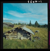 2358/8 Historiska boken Hamnbilder mm; Svartsjölandet; Stenbrottet mm; Våms kyrka; Djäknar; Gammalt slott