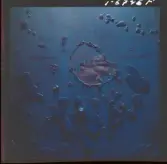 2358/9 Historiska boken Riddarhuset o Riddarholmskyrkan; Kyrkogård mm; Svenska Akademien