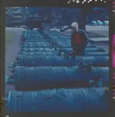 2358/9 Historiska boken Riddarhuset o Riddarholmskyrkan; Kyrkogård mm; Svenska Akademien