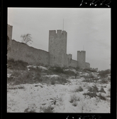 2356/10 Historiska boken kyrka, dörrar mm; Visby