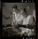 2358/25 Historieboken Folkdansare Halsband