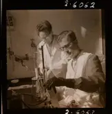 2358/25 Historieboken Folkdansare Halsband