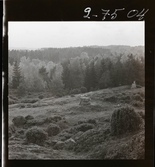 2358/27 Historieboken 