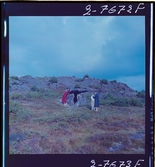 2358/27 Historieboken 