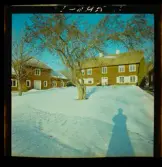 2358/29 Högsta domstolen; Linnés Hammarby