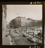 2361 Skomans Skor-tagning å ateljén M. samg.