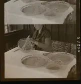 2382 Nilsson Fröken, Majvägen 7, Bromma Handarbete-korgflätning-tagn. Svensk Hemslöjd; vid Spinnrocken Jan. 57