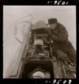 2365/1 F-8 för W-reklam