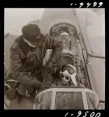 2365/1 F-8 för W-reklam