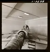 2365/1 F-8 för W-reklam