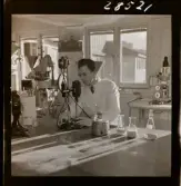 2373/3 Astra, Södertälje Hässle AB, Göteborg