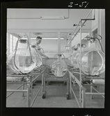 2373/10 Astra; Dödskalle 