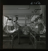 2373/10 Astra; Dödskalle 