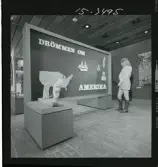 2373/10 Astra; Dödskalle 